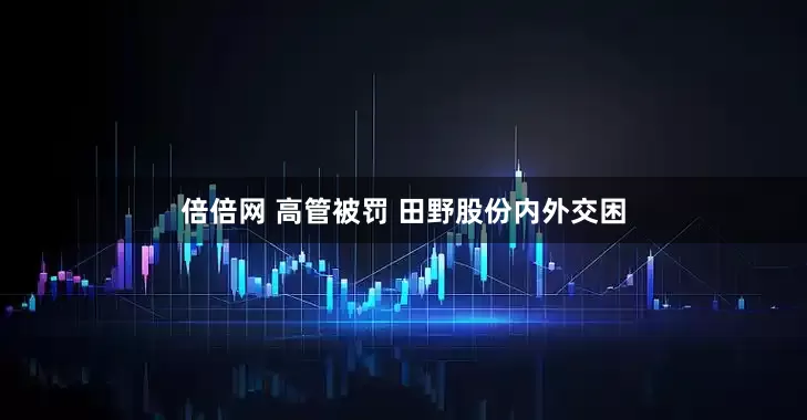 倍倍网 高管被罚 田野股份内外交困