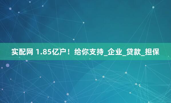 实配网 1.85亿户！给你支持_企业_贷款_担保