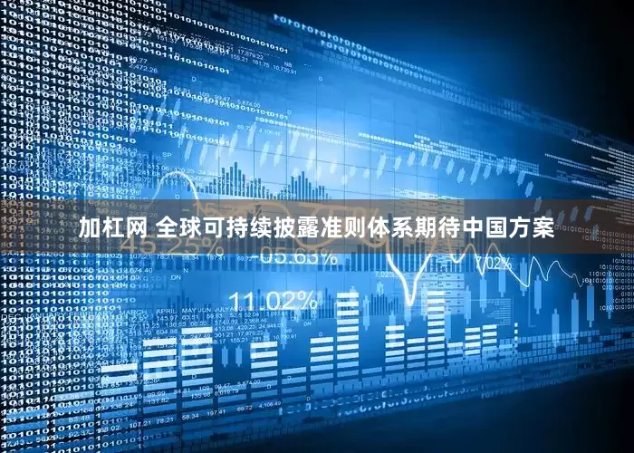 加杠网 全球可持续披露准则体系期待中国方案