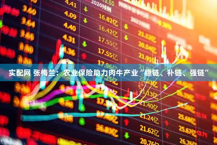 实配网 张梅兰：农业保险助力肉牛产业“稳链、补链、强链”