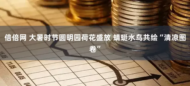 倍倍网 大暑时节圆明园荷花盛放 蜻蜓水鸟共绘“清凉图卷”