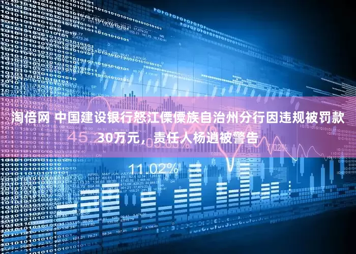 淘倍网 中国建设银行怒江傈僳族自治州分行因违规被罚款30万元，责任人杨逍被警告