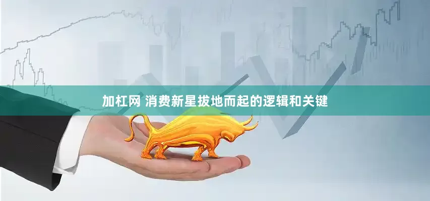 加杠网 消费新星拔地而起的逻辑和关键
